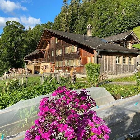Ferienhaus Schoenenmatte Zweisimmen Exterior photo