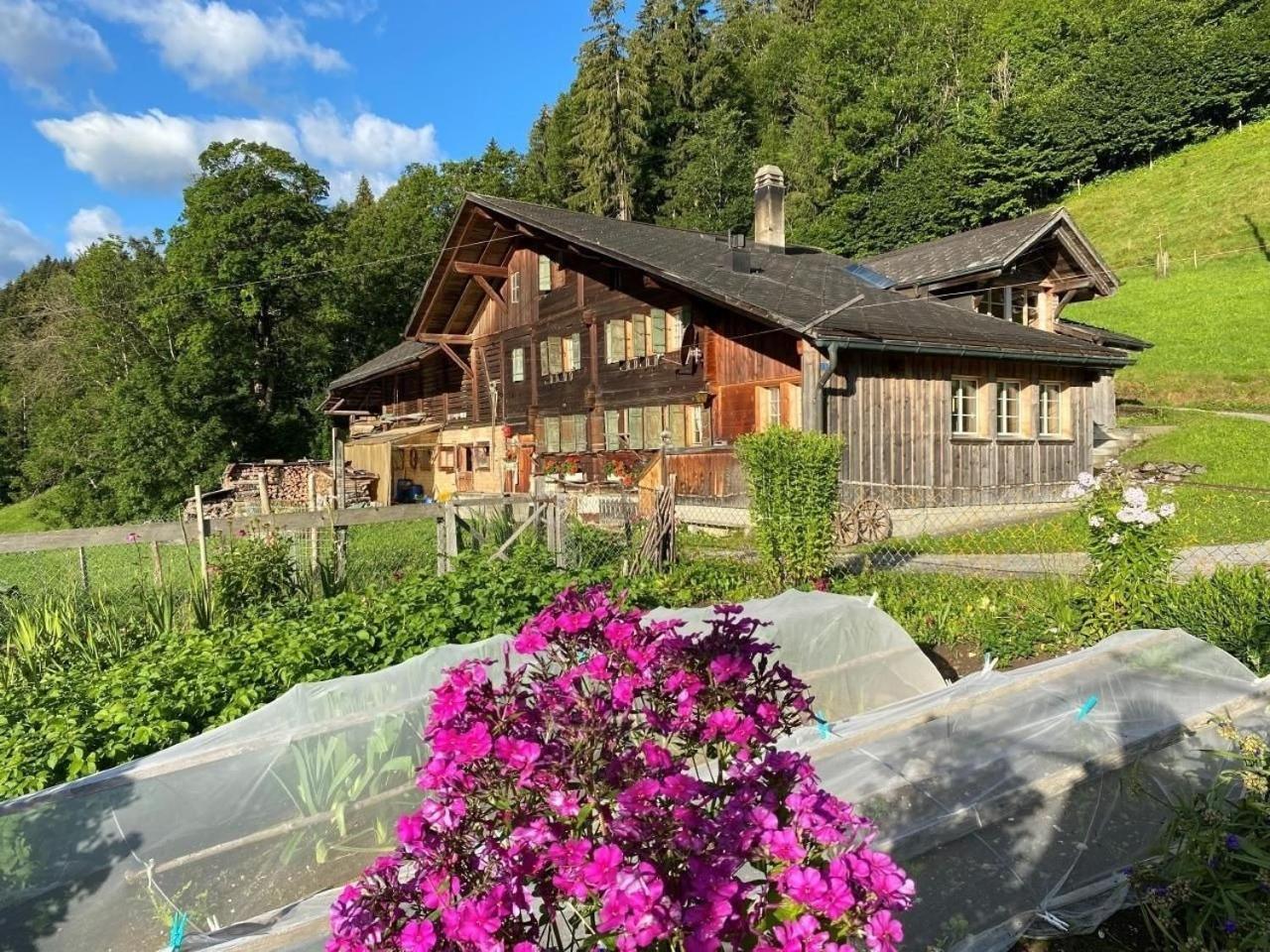 Ferienhaus Schoenenmatte Zweisimmen Exterior photo
